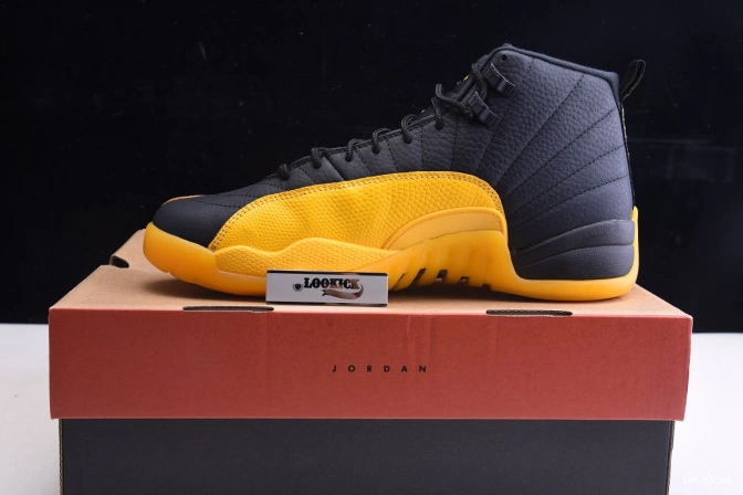Air University 130690-070 Gold Jordan 12 Black Retro 0724